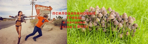 соль курить ск Кинешма