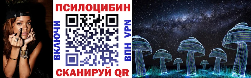 Купить закладки  Губкинский  Галлюциногенные грибы Psilocybine cubensis 